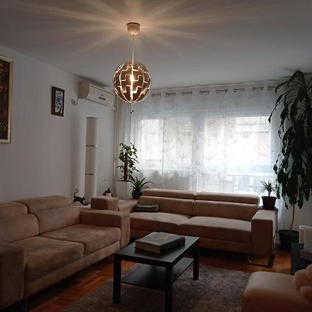 Go 2 Apartment Belgrad Exteriör bild
